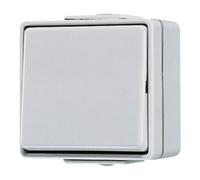 JUNG Interrupteur à bascule 607W WG600 IP44 Croix 607W (607W)