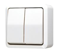 Jung 605 A WW Interrupteur électrique 1P blanc (605AWW)