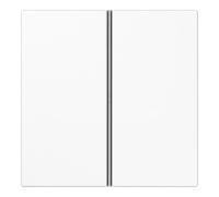 Jung Jung Jeu de touches 2 fois aws complet LS 402 TSA WW Quantité:1