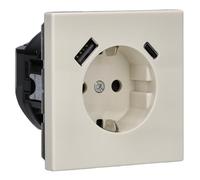 Jung SCHUKO Prise de courant avec USB type AC LS1520-15CA (LS1520-15CA)