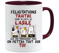 JungleMug Mug collègue | FÉLICITATIONS TRAÎTRE Départ en Retraite | Idée Cadeau Humour Travail | Tasse Départ Homme ou Femme Bureau | Cadeau Original Collègue (Bordeaux)