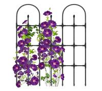 jupsjuice Treillis en métal pour plantes - Support vertical pour plantes - Piquets de vigne d'extérieur - Pour fleurs de tomate, lierre, clématite, concombre, balcon, arrière-cour