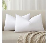 JUSPURBET Housse de Coussin en Velours Blanc 30x50 cm Lot de 2 pour Salon Canapé Chambre à Coucher Décoratif Rectangulaire Doux avec Fermeture Éclair Invisible