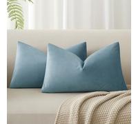 JUSPURBET Housse de Coussin en Velours Bleu Clair 30x50 cm Lot de 2 pour Salon Canapé Chambre à Coucher Décoratif Rectangulaire Doux avec Fermeture Éclair Invisible