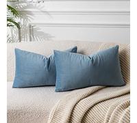 JUSPURBET Housse de Coussin en Velours Bleu Clair 40x60 cm Lot de 2 pour Salon Canapé Chambre à Coucher Décoratif Rectangulaire Doux avec Fermeture Éclair Invisible