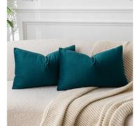 JUSPURBET Housse de Coussin en Velours Bleu Paon 40x60 cm Lot de 2 pour Salon Canapé Chambre à Coucher Décoratif Rectangulaire Doux avec Fermeture Éclair Invisible