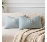 JUSPURBET Housse de Coussin en Velours Bleu Poudré 30x50 cm Lot de 2 pour Salon Canapé Chambre à Coucher Décoratif Rectangulaire Doux avec Fermeture Éclair Invisible