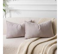 JUSPURBET Housse de Coussin en Velours Champagne 40x60 cm Lot de 2 pour Salon Canapé Chambre à Coucher Décoratif Rectangulaire Doux avec Fermeture Éclair Invisible