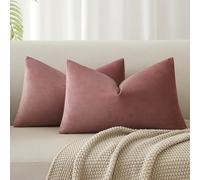 JUSPURBET Housse de Coussin en Velours Confiture 30x50 cm Lot de 2 pour Salon Canapé Chambre à Coucher Décoratif Rectangulaire Doux avec Fermeture Éclair Invisible