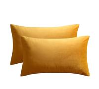 JUSPURBET Housse de Coussin en Velours Or 40x60 cm Lot de 2 pour Salon Canapé Chambre à Coucher Décoratif Rectangulaire Doux avec Fermeture Éclair Invisible