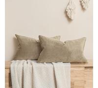 JUSPURBET Housse de Coussin en Velours Pierre 40x60 cm Lot de 2 pour Salon Canapé Chambre à Coucher Décoratif Rectangulaire Doux avec Fermeture Éclair Invisible