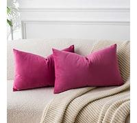 JUSPURBET Housse de Coussin en Velours Rouge Rosé 40x60 cm Lot de 2 pour Salon Canapé Chambre à Coucher Décoratif Rectangulaire Doux avec Fermeture Éclair Invisible