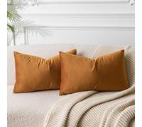 JUSPURBET Housse de Coussin en Velours Rouille 30x50 cm Lot de 2 pour Salon Canapé Chambre à Coucher Décoratif Rectangulaire Doux avec Fermeture Éclair Invisible