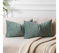 JUSPURBET Housse de Coussin en Velours Sauge 30x50 cm Lot de 2 pour Salon Canapé Chambre à Coucher Décoratif Rectangulaire Doux avec Fermeture Éclair Invisible
