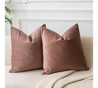 JUSPURBET Housses de Coussin en Velours Confiture 40x40 cm Lot de 2 pour Salon Canapé Chambre Carrées Solides Douces avec Zip Invisible
