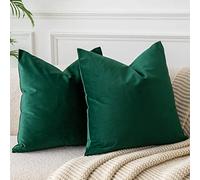 JUSPURBET Housses de Coussin en Velours Vert Foncé 40x40 cm Lot de 2 pour Salon Canapé Chambre Carrées Solides Douces avec Zip Invisible