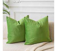 JUSPURBET Housses de Coussin en Velours Vert Pomme 60x60 cm Lot de 2 pour Salon Canapé Chambre Carrées Solides Douces avec Zip Invisible