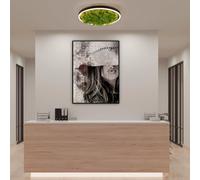 Just Light Green Ritus Plafonnier LED, 15391-66,
