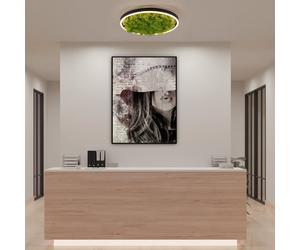 Just Light Green Ritus Plafonnier LED, 15391-66,