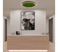 Just Light Green Ritus Plafonnier LED, 15392-66,