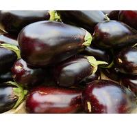 JustSeed - graines de Legumes Aubergine Black Beauty 500 graines