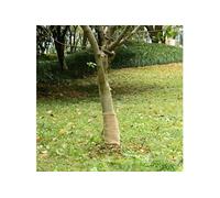 Jute rol 200 g/mÂ² 0,25x15 m 100% jute155791