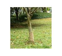 Jute rol 200 g/mÂ² 0,25x5 m 100% jute155789