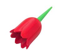 JWQFBC Dispositif D'Arrosage Bulbe Abreuvoir Automatique Équipement D'Irrigation Piquet de Soutien Outil Polyvalent à Remplissage Facile Adapté pour Balcon T, B