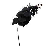 JYCAR Lot de 3 branches de fleurs artificielles Phalaenopsis - 100,1 cm - Noires - Plantes à tige artificielles au toucher réaliste - Branches de phalaenopsis - Pour mariage, fête, maison, jardin
