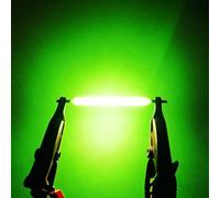 JZLBBC 100pcs Led Filament Rigide 3VDC Edison LED Ampoule Pièces Vert pour la réparation solaire de la lumière de jardin, DIY Fonctions basse tension (38MM/vert)