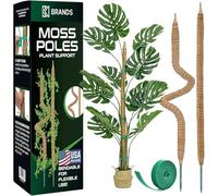 K-Brands Lot de 2 piquets en mousse - Support de plante Monstera de 63,5 cm - Poteaux en mousse pour plantes grimpantes Monstera - Support pliable pour plantes d'intérieur