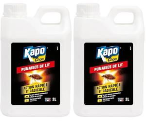 K.PRO - Insecticide Punaises de Lit - Action Rapide et Radicale - Tue par Contact - Techniques Professionnelles - Effet Longue Durée Jusqu'à 3 Mois - 2 L (Lot de 2)