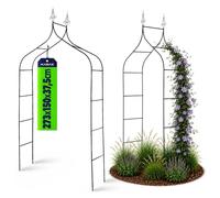 KADAX Arche de jardin pour plantes grimpantes - Arche robuste - Arche à rosiers - Treillis en fer - Pergola résistante aux intempéries - Treillis (fer)