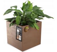KADAX bac à plantes carré en plastique "Sore", pot de fleurs avec roulettes, brun foncé, aspect bois