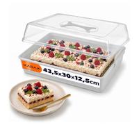 KADAX Boîte à gâteau, avec couvercle, 43 x 30 x 12,5 cm, en plastique, avec poignée, rectangulaire, pour gâteaux, muffins, gris v2