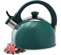 KADAX Bouilloire en acier inoxydable - 1,7 l - Différentes couleurs - Pour tous les types de feux - Bouilloire rétro - Vert