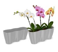 KADAX Grand Pot de Fleurs en Polypropylène pour Orchidées, Cache-Pot Élégant et Robuste pour Décoration Intérieure et Extérieure (35 x 16 cm, Gris)