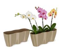 KADAX Grand Pot de Fleurs en Polypropylène pour Orchidées, Cache-Pot Élégant et Robuste pour Décoration Intérieure et Extérieure (35 x 16 cm, Beige)