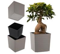 KADAX Jardinière Carrée 19.5 cm Gris Taupe - Grand Pot de Fleurs en Plastique pour Intérieur et Extérieur, Idéal pour la Décoration de Jardin, Terrasse et Balcon