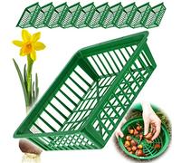Panier à plantes KADAX pour bulbes à fleurs