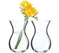 KADAX Lot de 2 - Vase en verre, 18 cm, 8 cm de diamètre, transparent, vase décoratif pour salon
