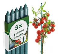 KADAX Lot de 5 Tuteurs Tomate et Plantes - Acier Plastifié 180 cm × Ø 16 mm - Tuteur Jardin Potager pour Grandes Tomates, Haricots, Concombres et Plantes Grimpantes, Résistants aux Intempéries