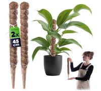 KADAX Monstera Lot de 2 tuteurs en fibre de coco (45 cm), tige de coco et bâton de mousse pour plantes d'intérieur, aide à l'escalade et support pour plantes d'intérieur et d'extérieur