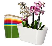 KADAX Pot de fleurs en plastique - 27 x 13 cm - Grand pot ovale - Pour orchidées, bellis, pensées, drazènes (blanc)