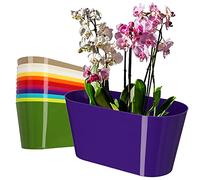 KADAX Pot de fleurs en plastique - 27 x 13 cm - Grand pot ovale - Pour orchidées, bellis, pensées, drazènes (violet)