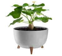 KADAX Pot de Fleurs en Plastique sur Trois Pieds, Effet Bois Élégant pour Sublimer la Décoration de Votre Maison et Jardin, Intérieur et Extérieur (Gris, 33 cm)