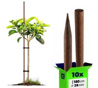 KADAX Support pour plantes grimpantes en bois "Tarup", piquets imprégnés, tige pour plantes grimpantes, 180 cm, 10 pièces