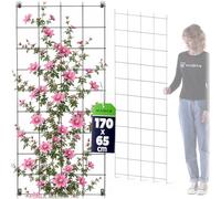 KADAX Treillis mural en acier pour plantes, jardin, balcon, terrasse, grille métallique, aide à l'escalade, grille pour plantes, treillis, fixation murale, noir (65 x 170 cm)