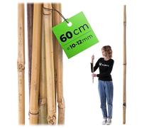 KADAX tuteur en Bambou 60cm - Support pour tomates et Plantes grimpantes - stabilité renforcée Contre Vent et Poids des Fruits
