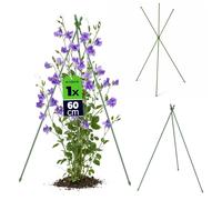 KADAX Tuteur pour plantes grimpantes, 60 cm, 1 pièce, tuteur métallique avec revêtement en plastique, obélisque pour fleurs, boutures et fraises grimpantes